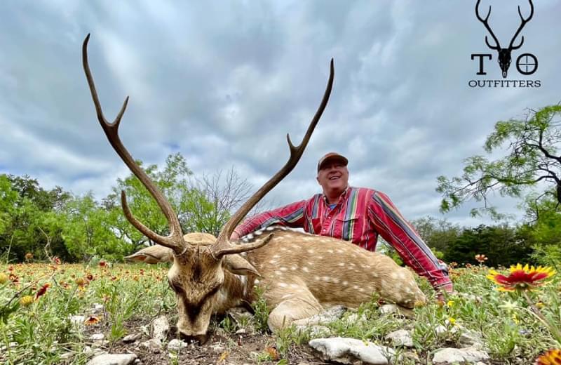 Axis Deer TO Outfitters